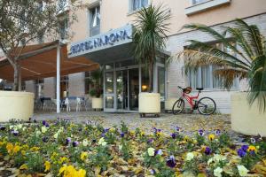 Jízda na kole v ubytování Hotel Narona nebo okolí
