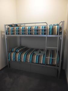 A bunk bed or bunk beds in a room at Happy Backpacker