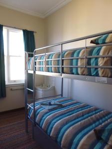 ペンギンにあるHappy Backpackerの窓付きの客室で、二段ベッド2台が備わります。