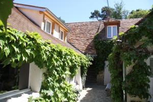 an alley between two houses with ivy at L'Hibernie in Rochefort-en-Yvelines