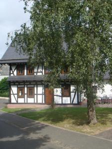 a house with a tree in front of it at Ferienhaus Schmitt in Beltheim