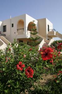 a house with red flowers in front of a building at Nanakis Beach Apartments in Stavros