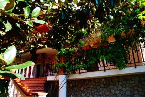 Rõdu või terrass majutusasutuses Hotel Maremonti