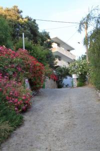 Gallery image of Oasis Studios in Rodakino