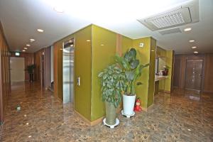Fotografie z fotogalerie ubytování Champion Hotel v destinaci Čedžu