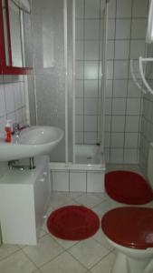 ein Badezimmer mit einem Waschbecken, einer Dusche und roten Teppichen in der Unterkunft Ferienhaus Lilienstein in Bad Schandau