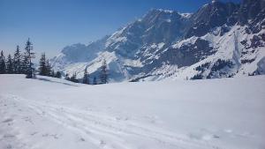 Appartmenthaus Hochkönig v zime