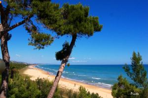 Φυσικό τοπίο κοντά σε αυτό το διαμέρισμα