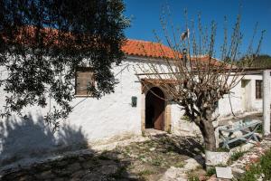a white building with a tree in front of it at Traditional House in Alikampos