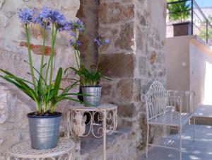 Fotografie z fotogalerie ubytování Villa Marchi v destinaci Hvar