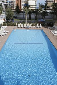 a large blue swimming pool with chairs and palm trees at Hotel Castilla Alicante in Alicante
