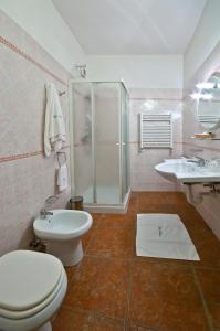e bagno con servizi igienici, doccia e lavandino. di Hotel Blue Ribbon a Vercelli