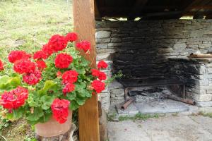 a pot of red flowers next to a stone fireplace at Joy Center - Casa e Appartamenti Vacanza in Val Pellice in Villar Pellice +47 photos