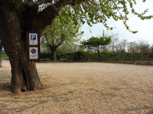 a tree with a no parking sign next to it at Affittacamere Porticciolo in Castelnuovo del Garda