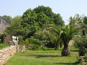 a palm tree in a yard next to a stone wall at Beautiful holiday home near Moriani Plage in San-Nicolao