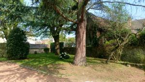 Vrt pred nastanitvijo Hostellerie du Val d'Or