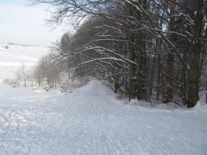 Gallery image of Cosy Holiday Home in H ttenrode with private terrace in Hüttenrode