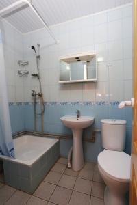 a bathroom with a sink and a toilet and a bath tub at U Sergeya in Berehove