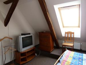 ヴェルケー・ロシニにあるUbytování Mlýnのベッドルーム(テレビ、ベッド、窓付)