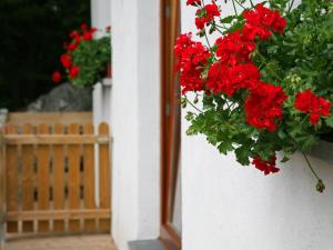 un montón de flores rojas colgando de una pared en Cottage with a terrace and a view of the valley, en Aywaille