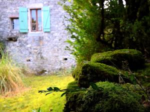 Historic holiday home with garden في Fargues: مبنى حجري قديم مع نافذة ونباتات خضراء