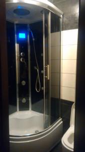 リヴィウにあるCentrum Residenteのバスルーム(ガラス張りのシャワー、トイレ付)
