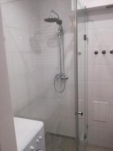 Kúpeľňa v ubytovaní Nordic Apartamenty Suraska
