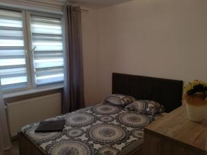 Posteľ alebo postele v izbe v ubytovaní Nordic Apartamenty Suraska
