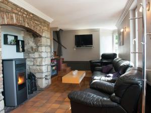 マルメディにあるAlluring Holiday Home in Malmedy with Saunaのリビングルーム(革張りのソファ、暖炉付)