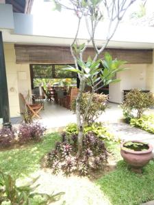 un jardín con un pequeño árbol en un patio en Villa bora-bora Kalicaa en Tanjung Lesung