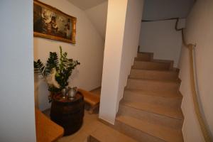 a staircase in a house with a potted plant at Gästehaus Scheer in Proleb
