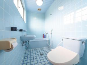 a blue bathroom with a toilet and a sink at Pension Hoshinosuna in Iriomote