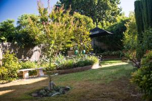 
a garden area with a bench and a tree at Austin Rise Bed and Breakfast in Melbourne
