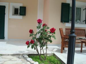 a plant with red roses in front of a house at Merlot Village Rental Apartments in Kariá
