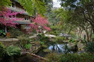 Un jardín fuera de 福緣山莊 桃園市民宿004號