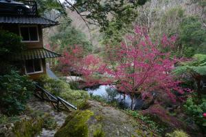 Un paisaje natural cerca del lodge