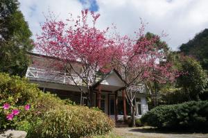 Un jardín fuera de 福緣山莊 桃園市民宿004號