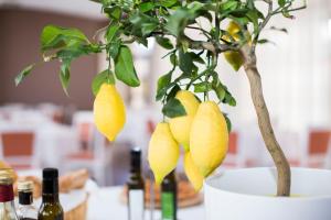 Gallery image of Hotel Cavaliere in Noci