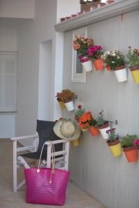 Une bande de plantes en pot sur un mur dans l'établissement Ammos Beach, à Glífa