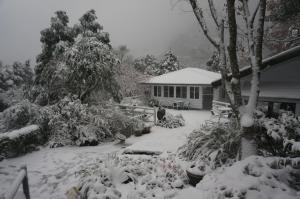 福緣山莊 桃園市民宿004號 durante el invierno