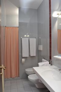 La salle de bains est pourvue de toilettes, d'un lavabo et d'une douche. dans l'établissement Hotel Ariane, à Thiene