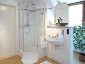 ein Bad mit einer Dusche und einem Waschbecken in der Unterkunft Rebstock Kappelwindeck in Bühl