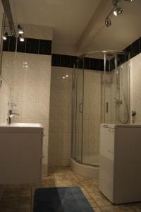Łazienka w obiekcie Apartamenty Usteckie
