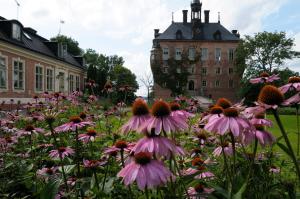 Zahrada ubytování Wiks Slott