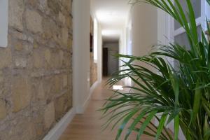 Fotografie z fotogalerie ubytování Sherryflat Bodega San Blas v destinaci Jerez de la Frontera