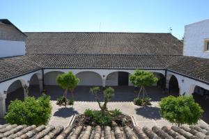 Zahrada ubytování Sherryflat Bodega San Blas