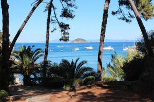 卡沃Residence Villa La Pineta的相册照片