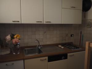 eine Küche mit einer Spüle und einer Arbeitsplatte in der Unterkunft monolocale in villa in Macugnaga