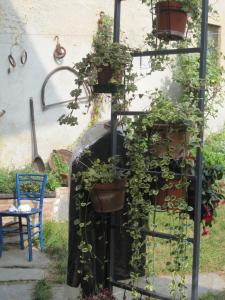 a garden trellis with potted plants on it at Villa Emilia in Roppolo