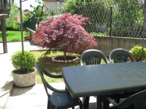 Vonkajšia záhrada v ubytovaní Casa Bruno B&B
